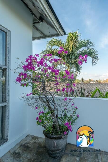 Villa Eva - By Unicorn Villas Bali Uluwatu  Exterior photo